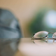 Free Blue Light Lenses w/ $100+ Purchase | GlassesUSA | Use code FREEBLUE